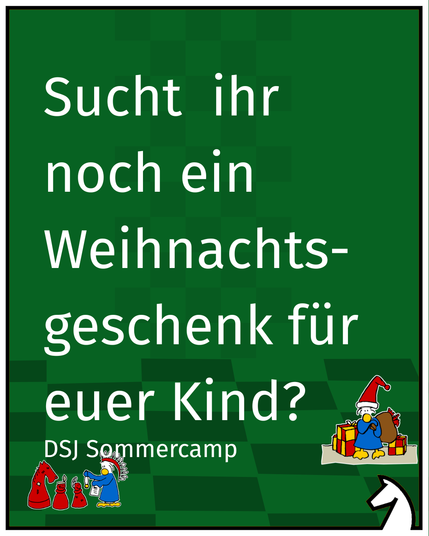 Sucht ihr noch ein Weihnachtsgeschenk für euer Kind?