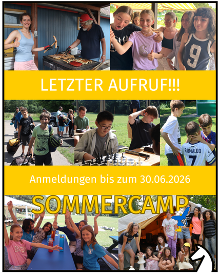 Letzter Aufruf zur Anmeldung für das DSJ Sommercamp!